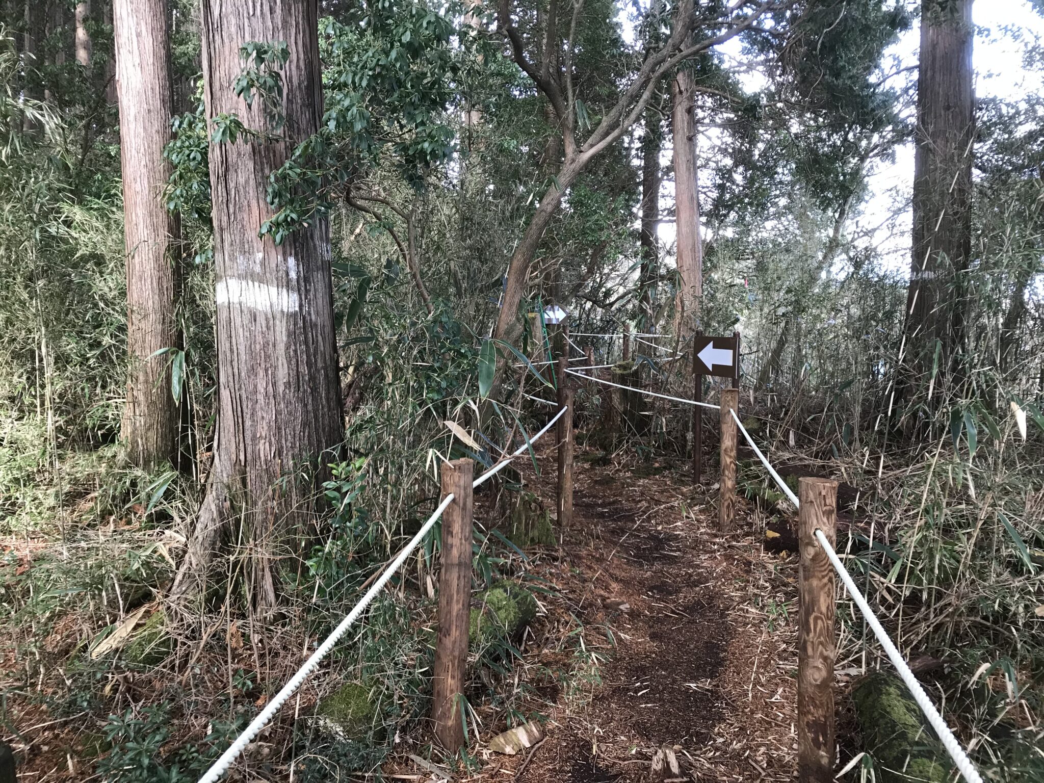 Top 6 Must Hiking Trails in Hakone | Articles by K's House Hostels