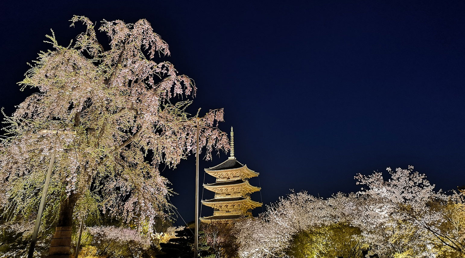 【京都 旅行 観光 情報】現地スタッフが地元京都から配信 ～撮影スポットやグルメ情報も～