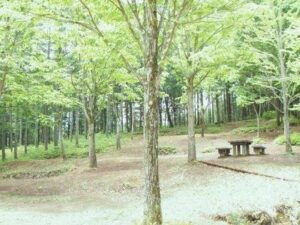 飛騨市森林公園キャンプ場