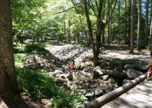 一色の森キャンプ場