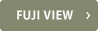 FUJI VIEW