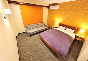 Twin/Triple room