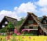 Galleryサムネイル